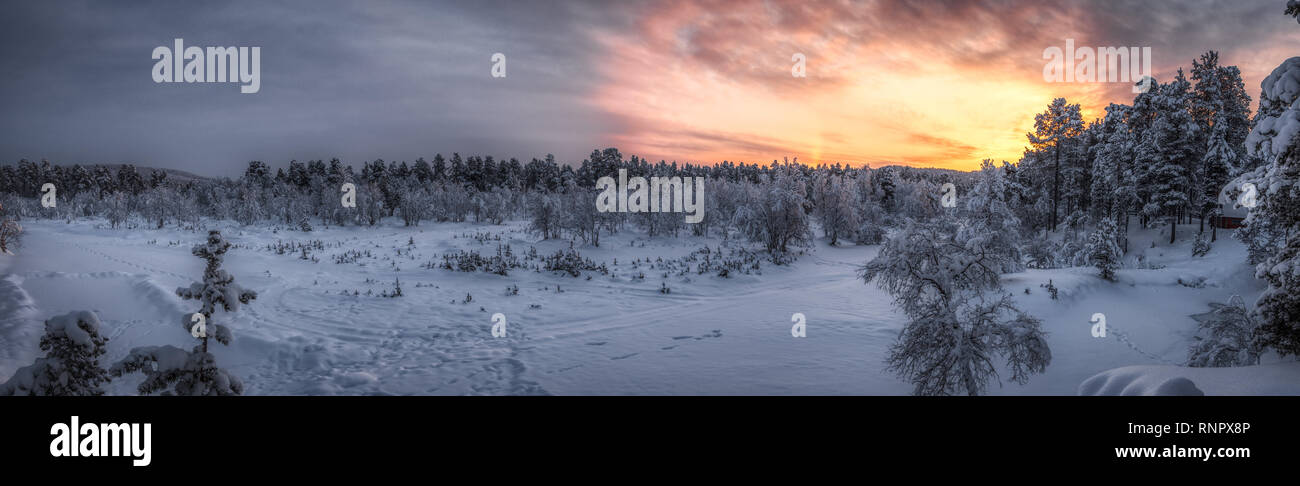 Panorama d'une scène d'hiver avec le coucher du soleil dans le désert de la Laponie finlandaise près de Inari Banque D'Images