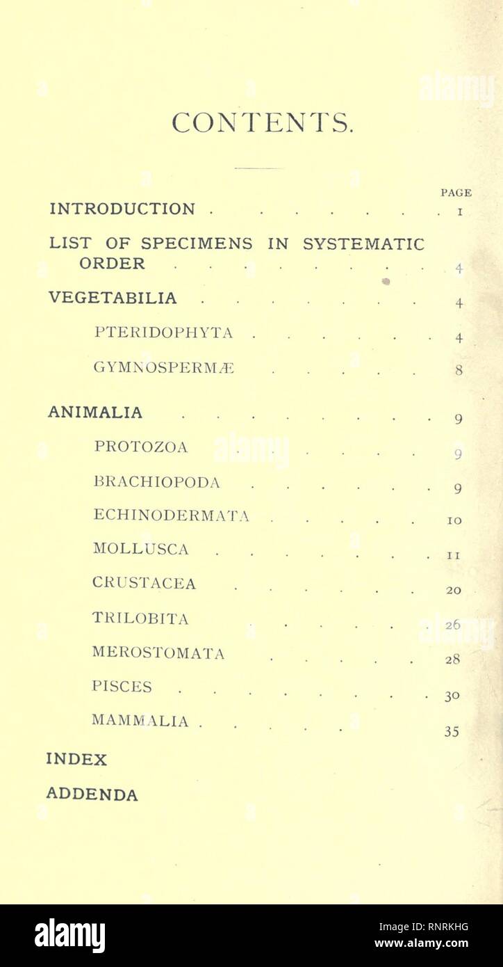 Catalogue des types et figuré de spécimens dans le département géologique Banque D'Images