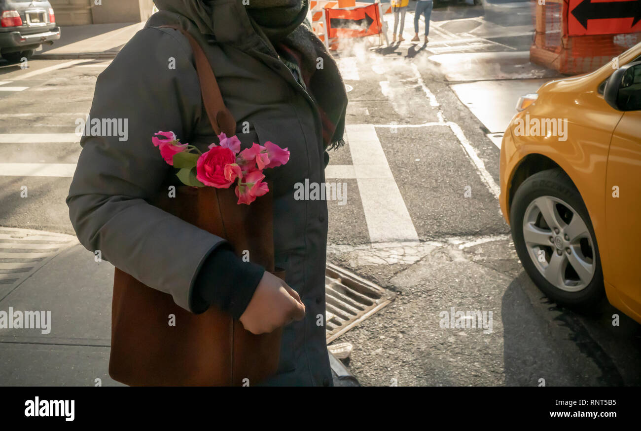 Une femme, tous regroupés dans le froid, attend pour traverser la Cinquième Avenue à New York avec sa pré-Saint-valentin roses le samedi 9 février 2019. (Â© Richard B. Levine) Banque D'Images