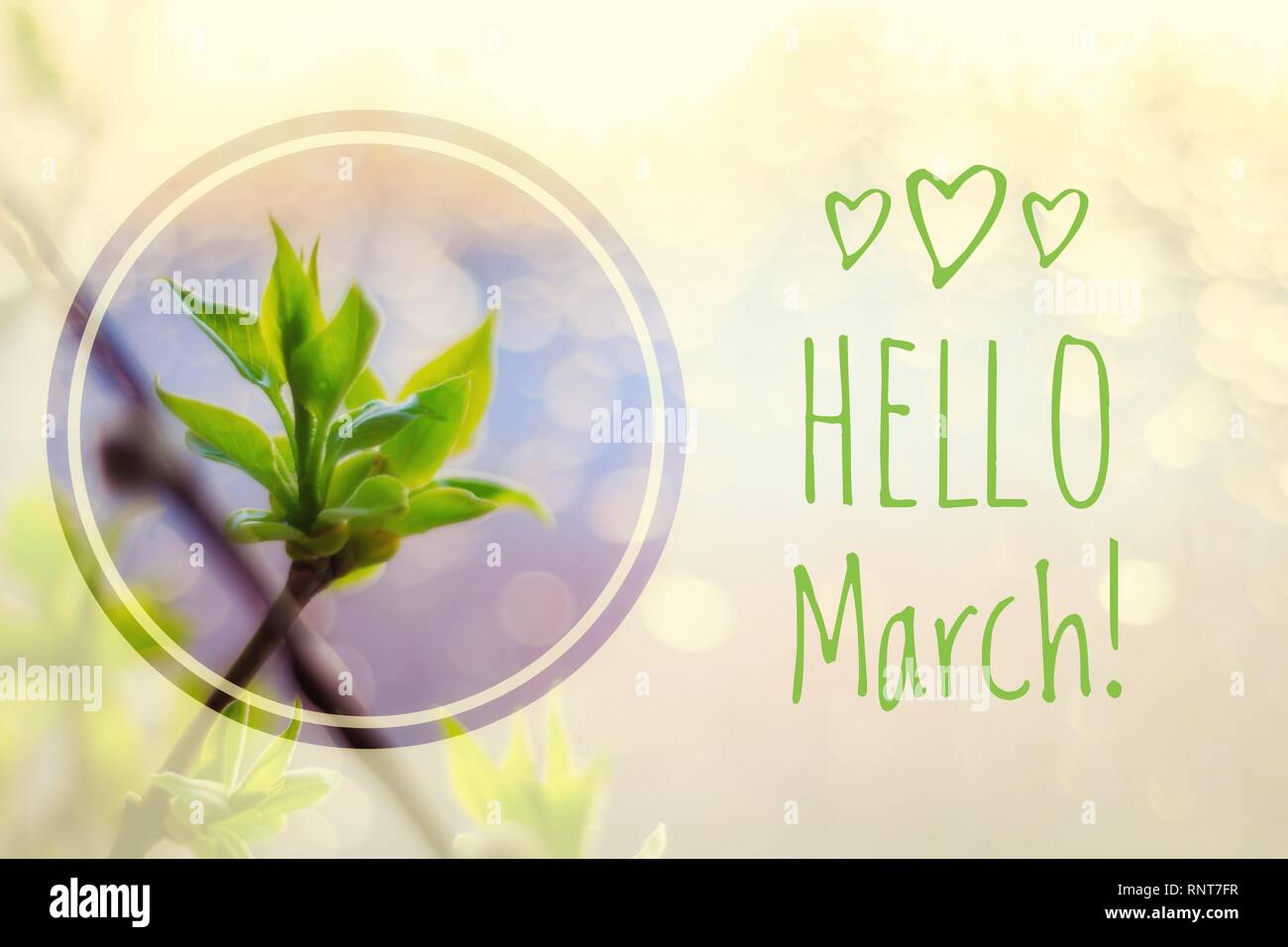 Carte De Vœux Carte De Bienvenue Mars Bonjour Le Debut Du Printemps Salutations Au Printemps Photo Stock Alamy
