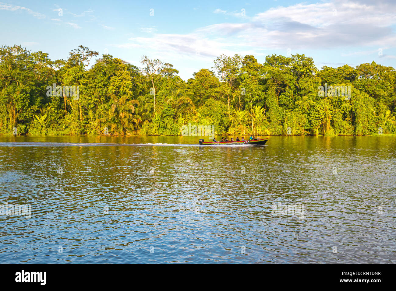 Faites une excursion en bateau pour observer les oiseaux avec les touristes dans le parc national de Tortuguero, près de la mer des Caraïbes, au Costa Rica. Banque D'Images