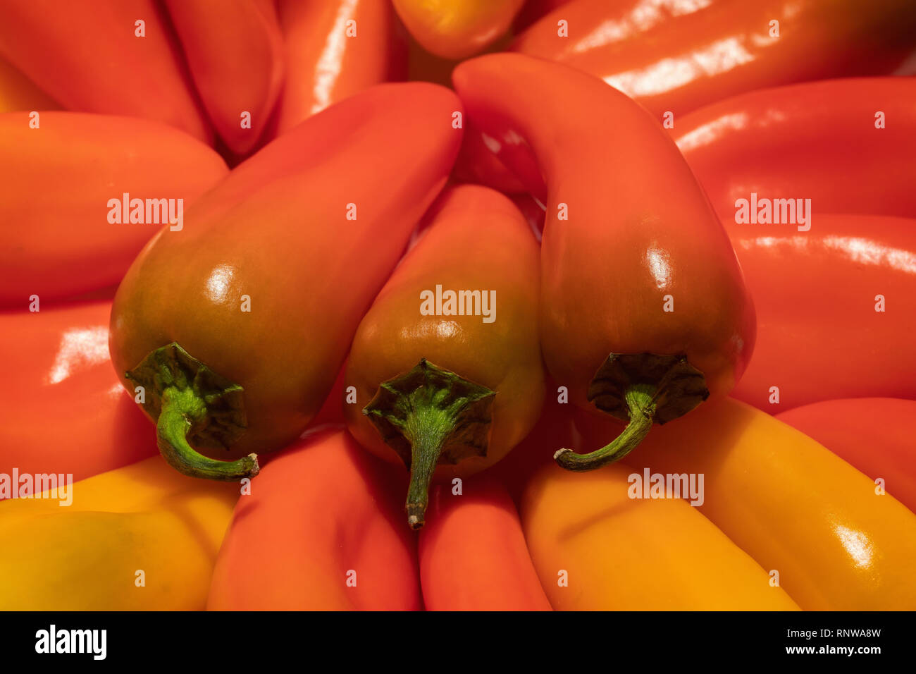 Close-up image de poivrons rouges Banque D'Images