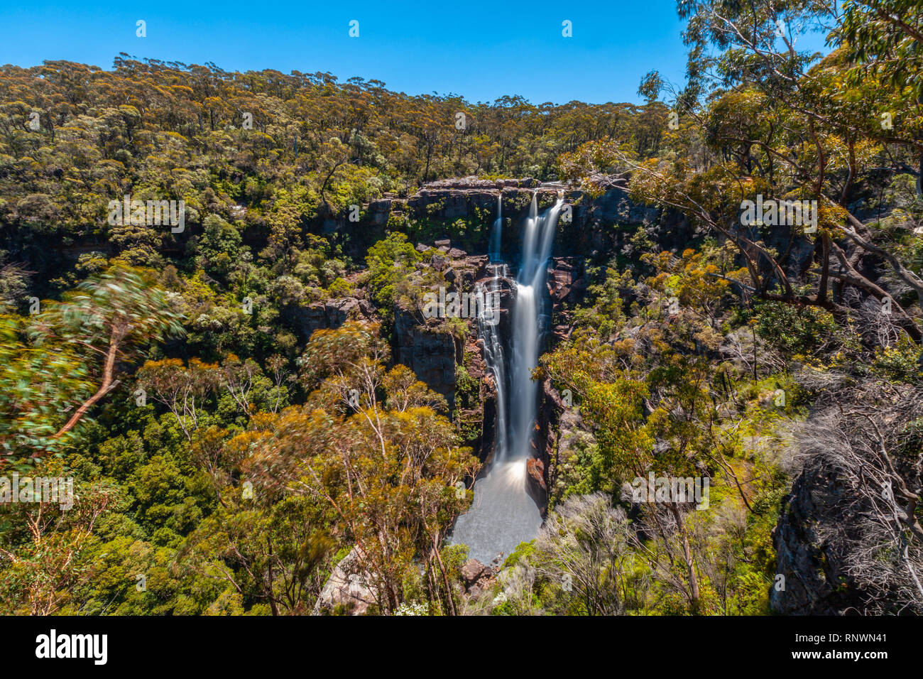 Belle Carrington Falls - 160 mètres de l'autre côté de la cascade de la rivière de kangourou en Nouvelle Galles du Sud, Australie Banque D'Images