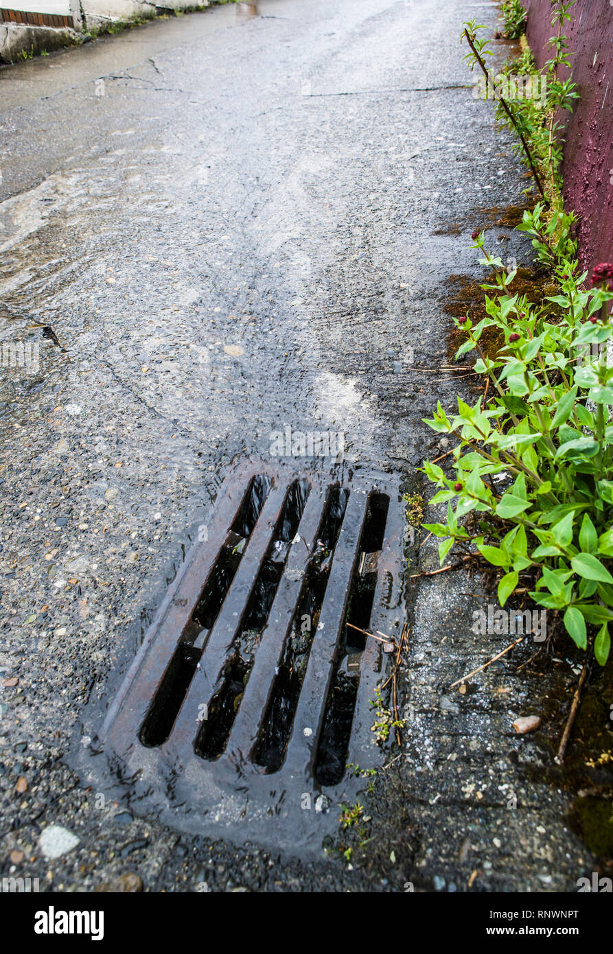 L'eau qui coule dans la rue à un collecteur d'eaux pluviales sur un jour de pluie. Banque D'Images