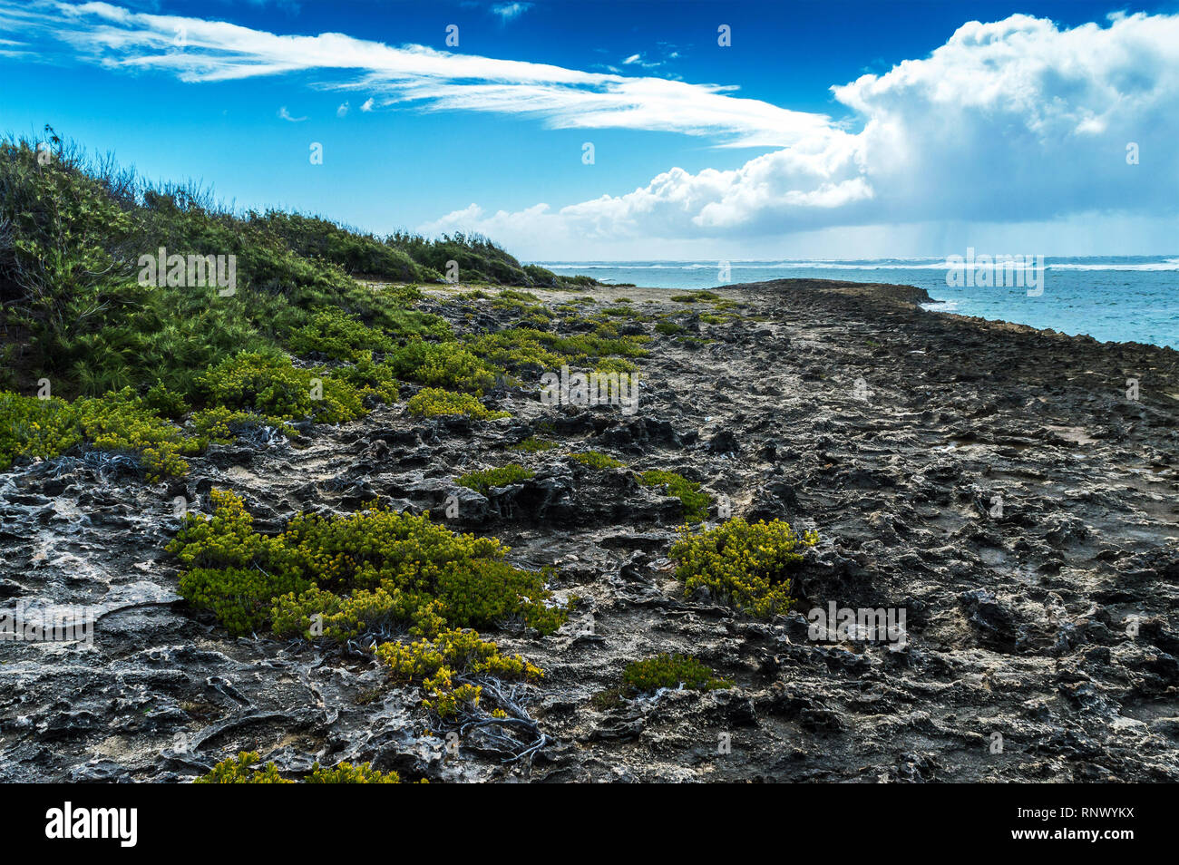 Chemin menant à la mer de corail de Pointe Coton à l'Est de l'île Rodrigues, l'île Maurice Banque D'Images