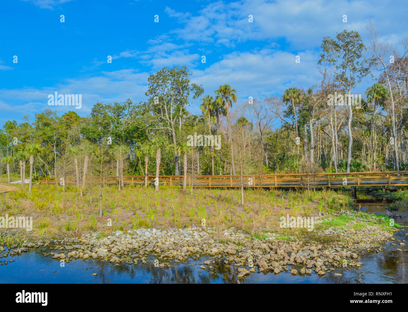 Ruisseau coule sous la passerelle à Nocatee, St Johns County, Floride Banque D'Images