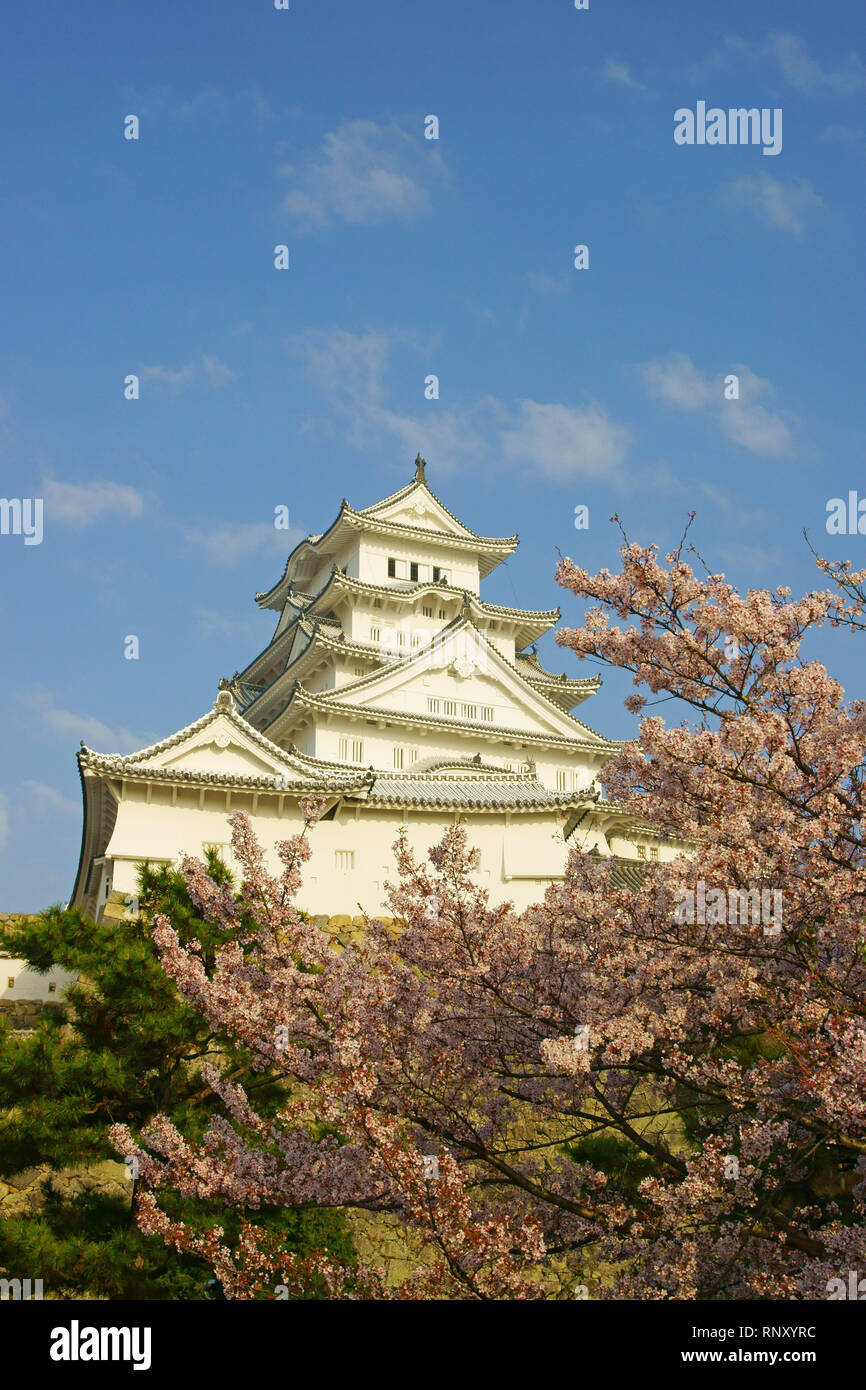 Château de Himeji au printemps, préfecture de Hyogo, Japon Banque D'Images