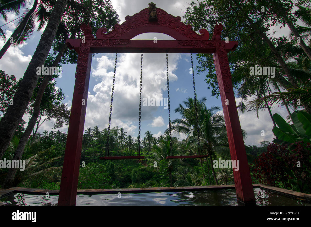 Deux balançoires au-dessus de la piscine avec une vue sur la forêt épique avant situé près de Ubud, Gianyar, Bali, Indonésie Banque D'Images