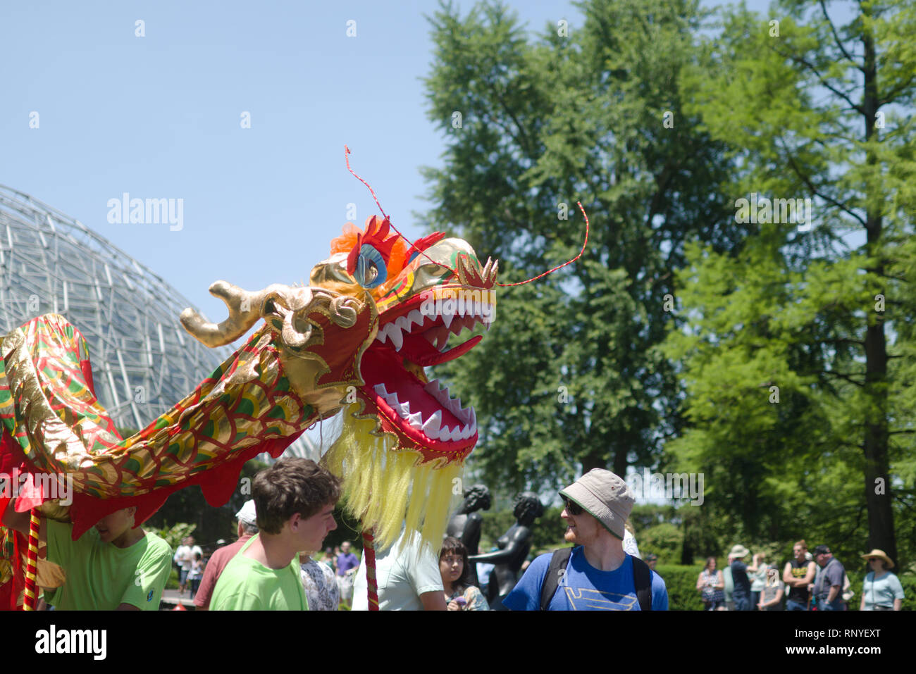 C'est la grande parade qui a eu lieu au cours de la Chinese Festival au Missouri Botanical Gardens. Banque D'Images