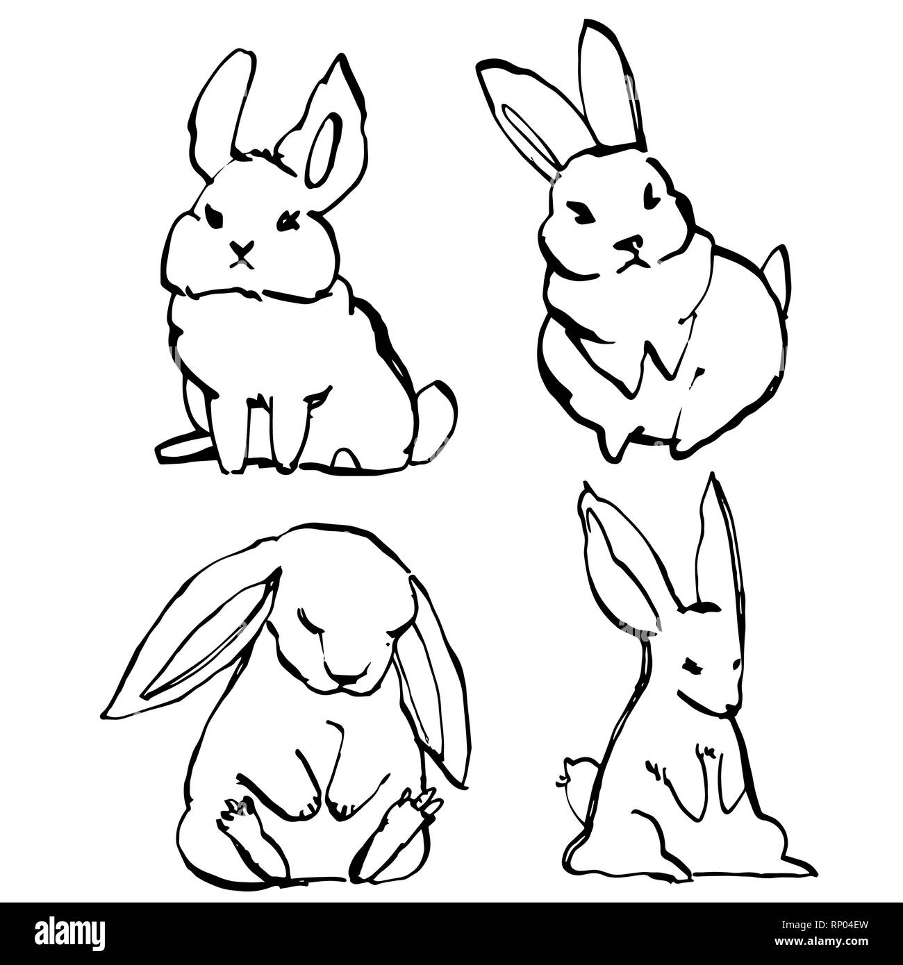 La collecte de certains lapins mignon, part attirer l'illustration. Dessiner ensemble illustration character design mignon de lapin. Banque D'Images