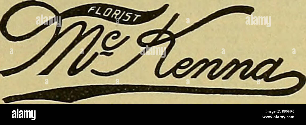 . La fleuriste américain : un journal hebdomadaire pour le commerce. La floriculture ; fleuristes. À PARTIR DE NEW YORK, SAUF TEL QU'INDIQUÉ.  ; 24 août. À PARTIR DE MONTRÉAL, Pomevanian. Cunard. Le 25 août. Prince indien, Prince. L'Afrique, Prince. Le 26 août. À PARTIR DE BOSTON, l'arabe, le White Star, 5 p. m. Moltke, Ham.-Amer., 11 a. m. New Amsterdam, paquebot, 10 a. m. L'empereur Guillaume II. Amérique du GER. Lloyd, 10 a. m. L'Amérique, Navigazoine. Pier 74, Rivière du Nord. Le 27 août. Campanie, Cunard. Le président Grant, Ham.-Amer.. 12 heures. Le 28 août. Cedric, étoile blanche, 12 heures. L'uranium. L'uranium. De Philadelphie, Pnnz Oskar, Cham.- Amer., 1 Banque D'Images