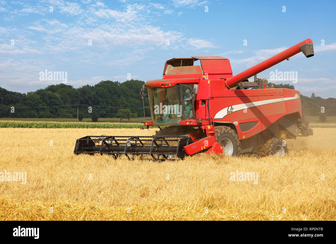 La récolteuse sur champ de blé, la récolte Banque D'Images
