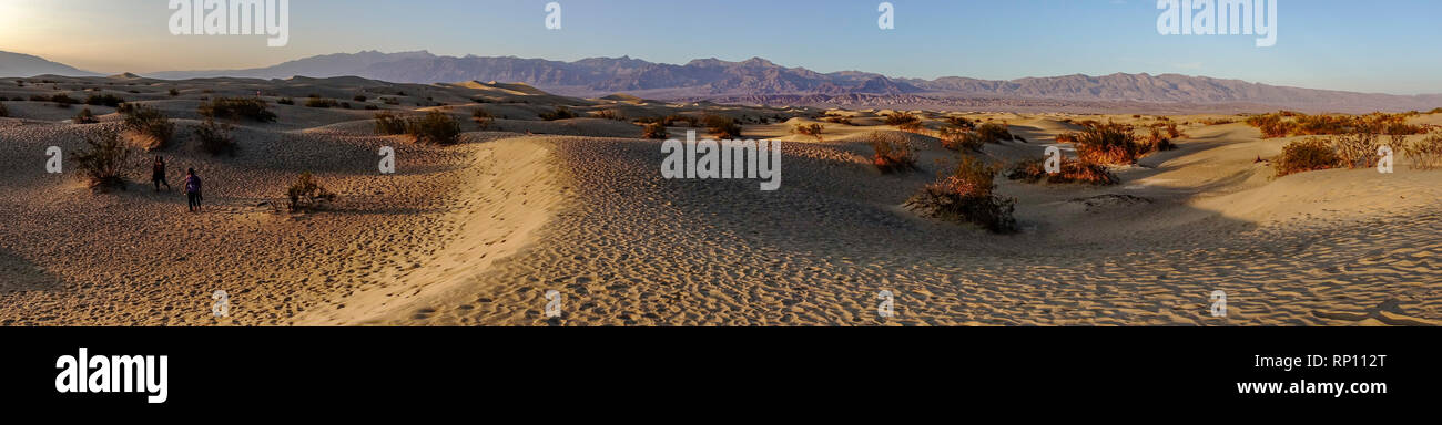 Vue panoramique sur les dunes de sable de Mesquite Flat, parc national de la Vallée de la mort, Californie, États-Unis Banque D'Images