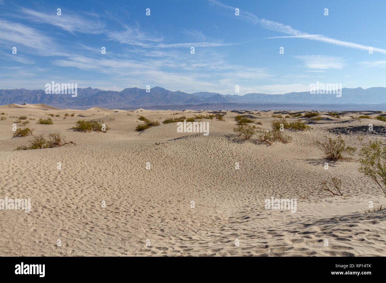 Vue sur Mesquite Flat dunes de sable, la Death Valley National Park, California, United States Banque D'Images