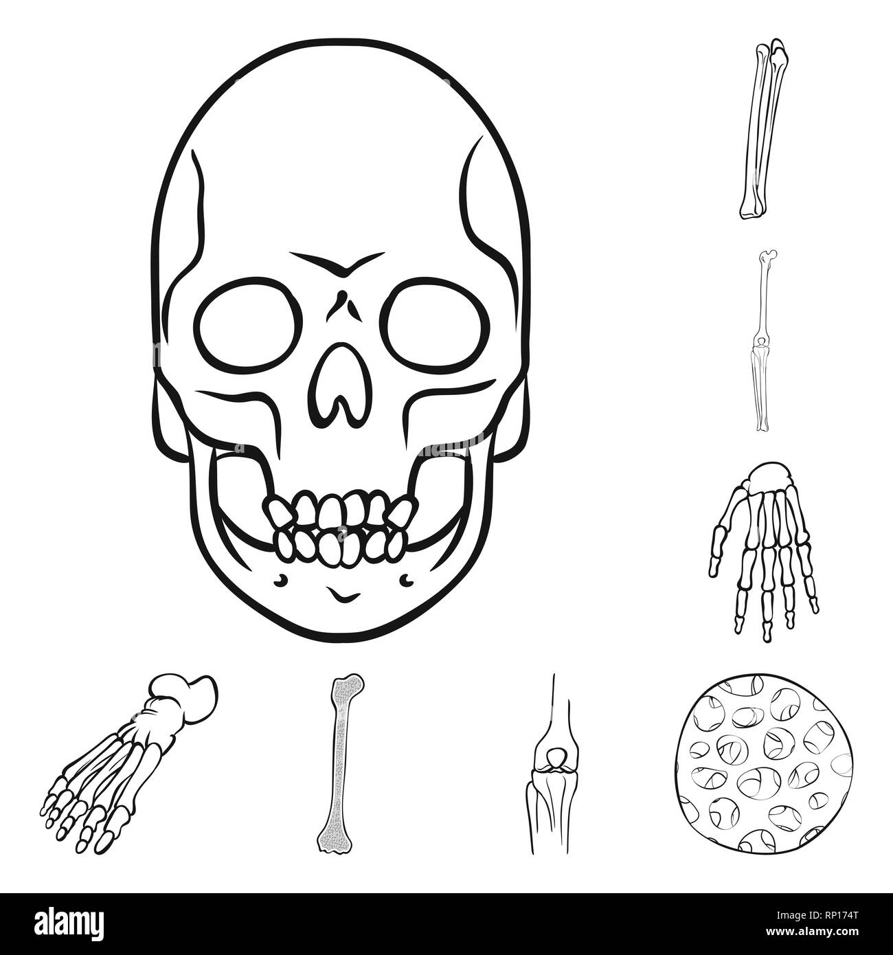 Crâne,fémur genou,poignet,pieds,fibres,mort,,joints,vente,cheville,osseuses,sain,horreur,bras avant-pied,tibia épithélium,tatouage,jambe,carpe,DE,panneaux,péroné,épiderme,chirurgie,tête,health,les pieds plats,linstallation,tendon,médecine, biologie médicale,clinique,os,squelette,anatomie,des,organes,,set,icône,,illustration,collection,isolé,design,graphisme,élément signe,ligne,plan,vecteurs vecteur , Illustration de Vecteur