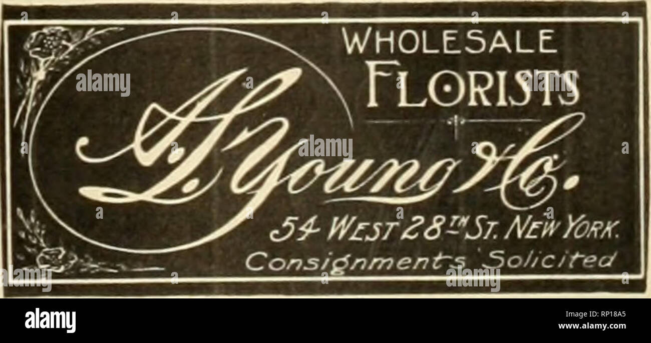 . La fleuriste américain : un journal hebdomadaire pour le commerce. La floriculture ; fleuristes. igi4. L'American Fleuriste. 885 J. K. ALLEN UtabUshed 1878 106 West 28th Street New York dans Wliolesale Concessionnaire Commission Cnt Fleurs. Maintenant prêt pour l'automne et l'hiver. La "Reine de l'automne" goon règne ship mf y'ur chrysanthèmes. Je peux également gérer bon dahlias. Retour rapide et satisfaction garantie. L'alimentation habituelle de roses, lis de la vallée et d'autres gaz à effet de stock ouvrent à 6 a. m. chaque morninE. Pbones 167 et 4468 Madison Souare. Deux S. A. F. COUPER les étiquettes d'EXPÉDITION POUR FXOWKR Banque D'Images