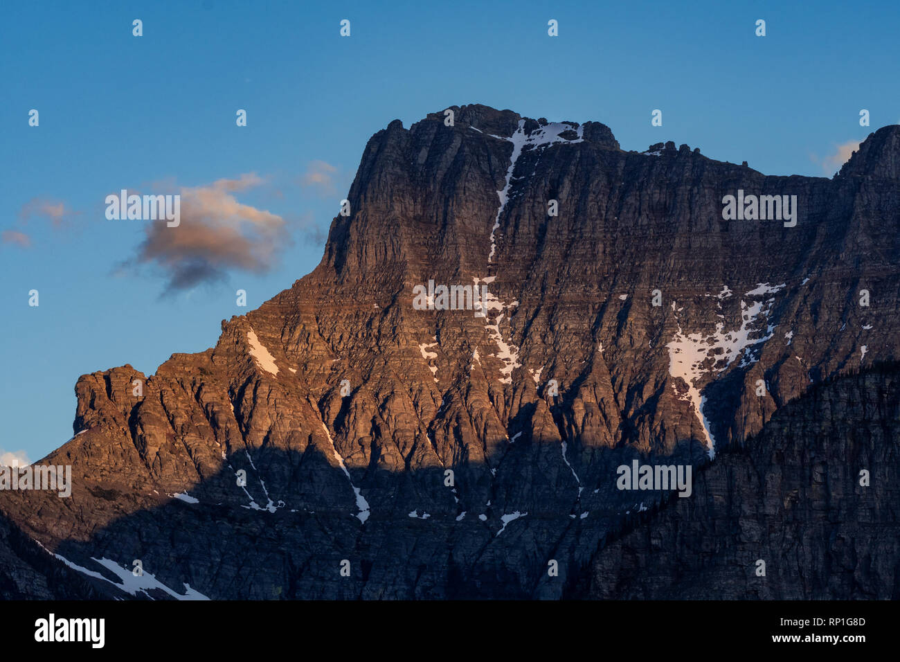 Lumière du soir sur le mont Oberlin par dessous Logan Pass Banque D'Images