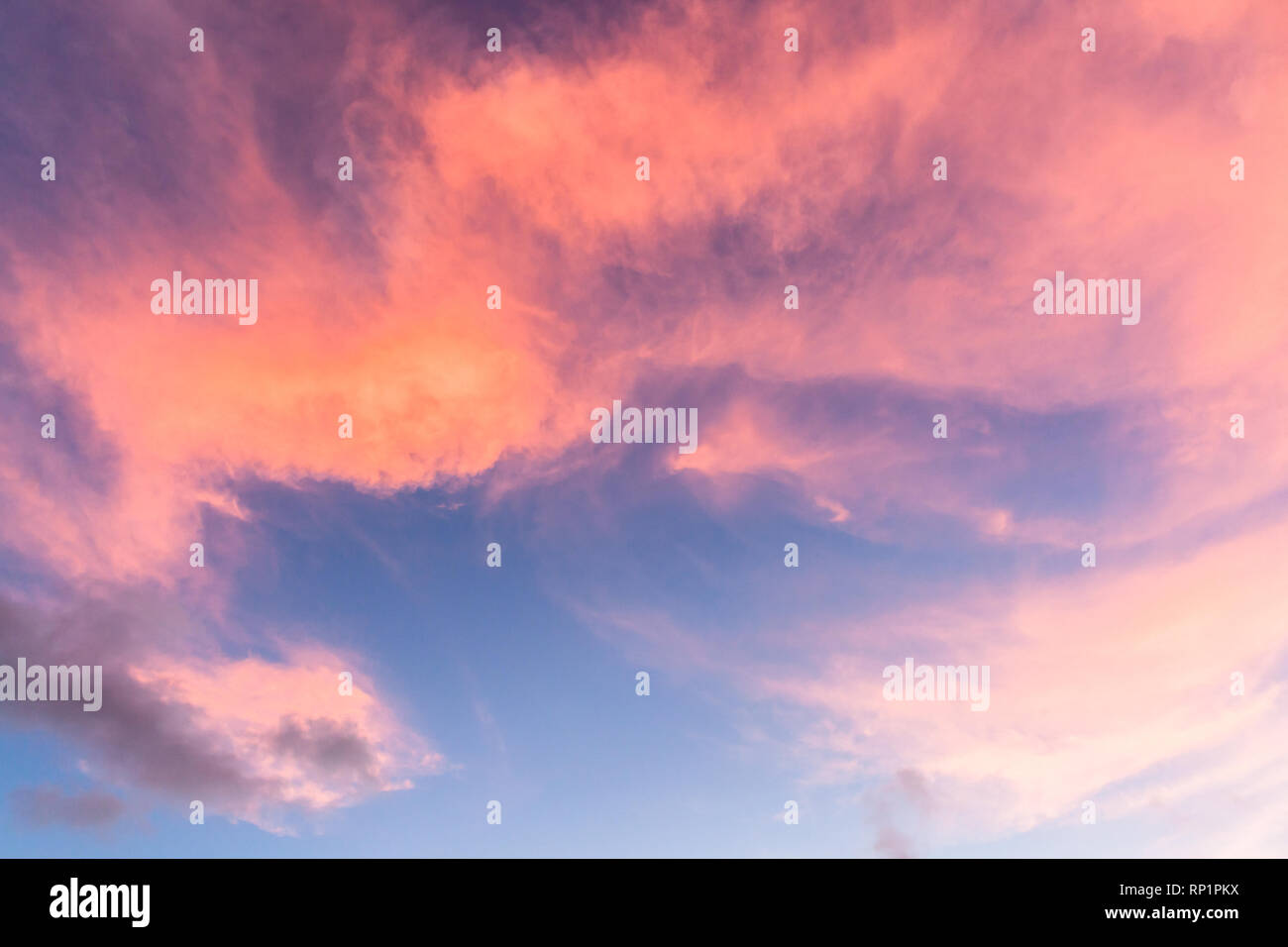 Meteo Matin Soir Ciel Bleu Avec Des Nuages Cirrus Changer Les Couleurs Blanc Gris Rose Reflets De La Nature Soleil Panoramique Photo Stock Alamy