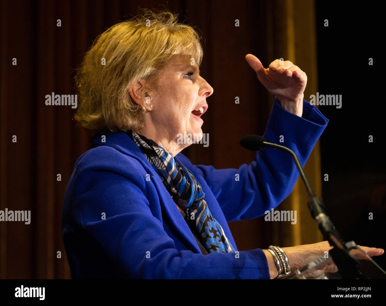 Londres, Royaume-Uni. 20 févr. 2019 Anna Soubry parle conférence de presse donnée par trois députés conservateurs qui ont démissionné. 3 députés conservateurs rebelles annoncent qu'ils quittent le parti conservateur pour rejoindre le Groupe indépendant. Theresa May est de perdre des députés et sa faible majorité devient même plus mince. Credit : Tommy Londres/Alamy Live News Banque D'Images