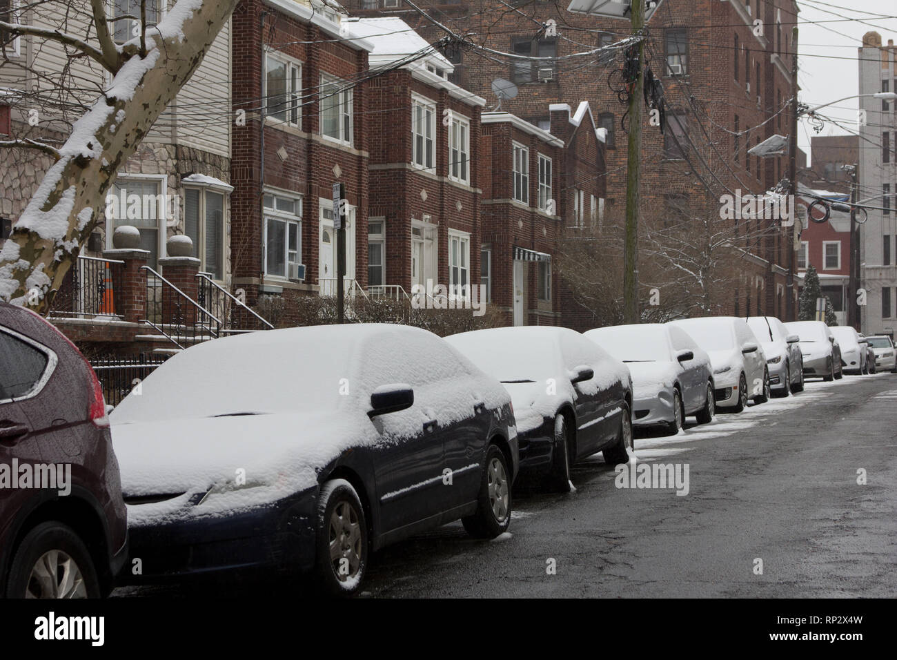 Jersey City, USA. 20 Février, 2019. La neige accumulée sur une ligne  d'apparence semblable voitures devant des bâtiments sur Britton Street à  Jersey City, New Jersey, lors d'un après-midi d'hiver de neige