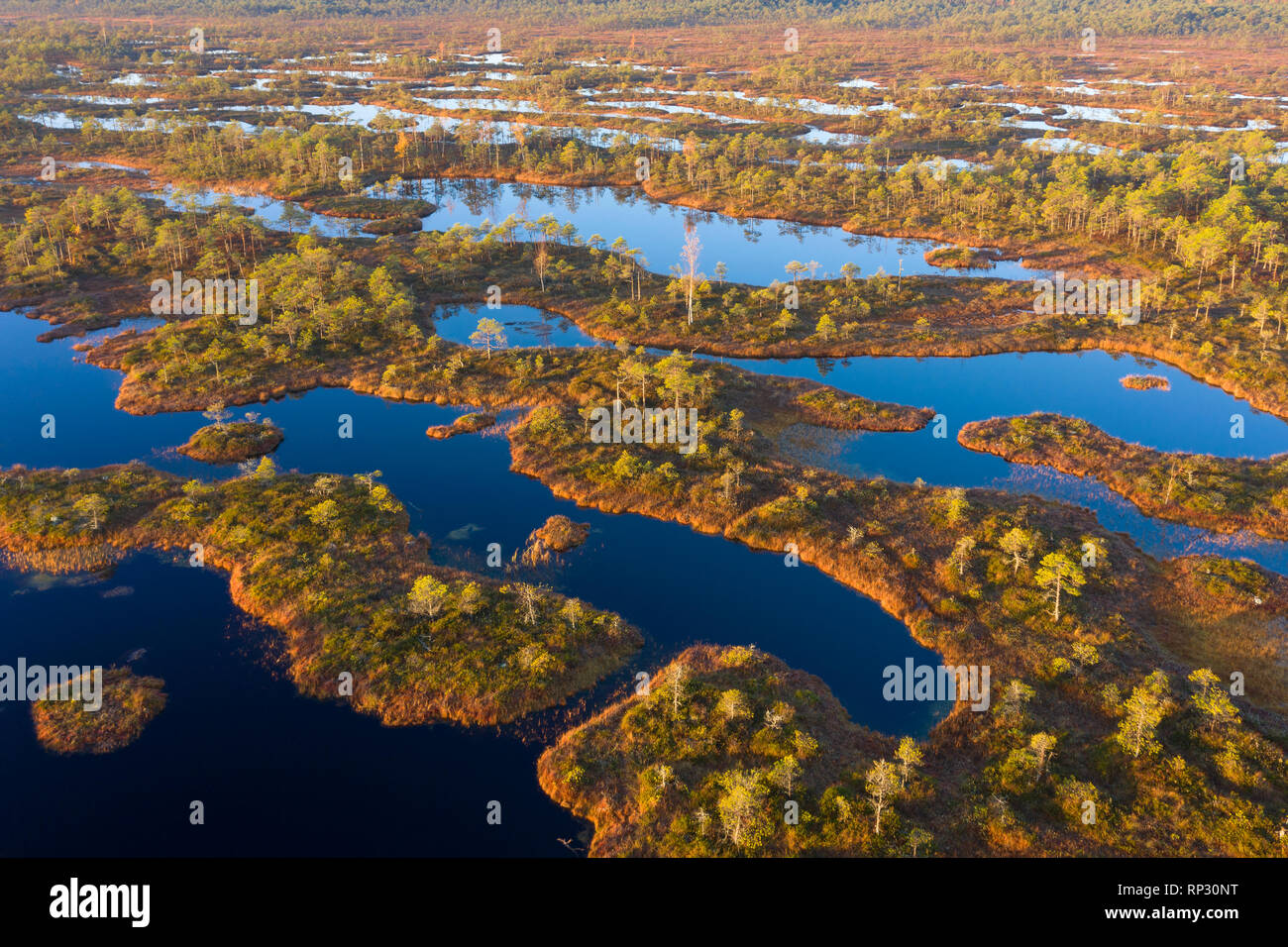 Vue aérienne de Mannikjarve bog piscines et îlots dans Endla Réserve Naturelle, Jogevamaa County, Estonie Banque D'Images