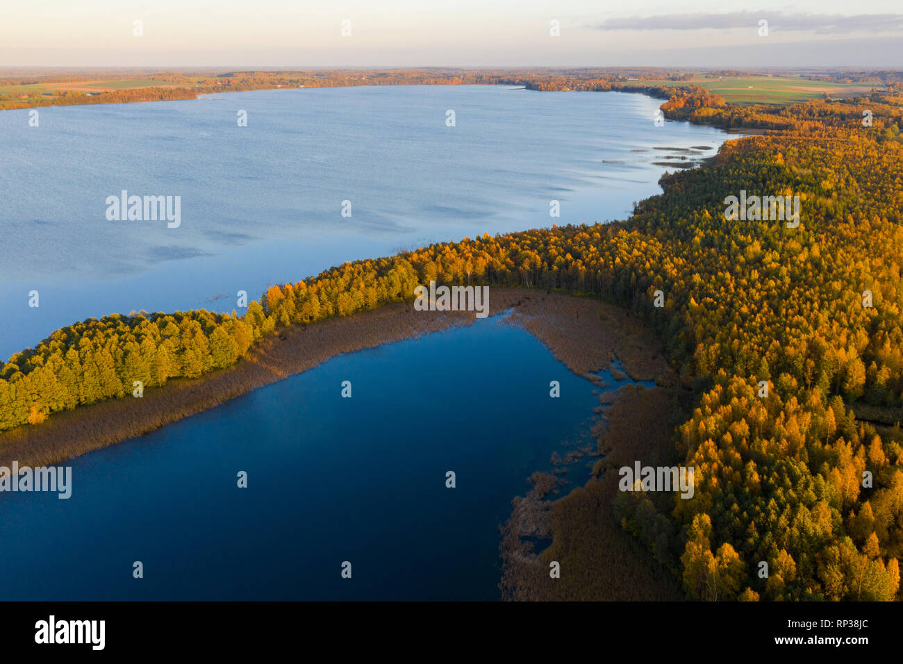 Saadjärv Vooremaa Lac, paysage, l'Estonie. Banque D'Images