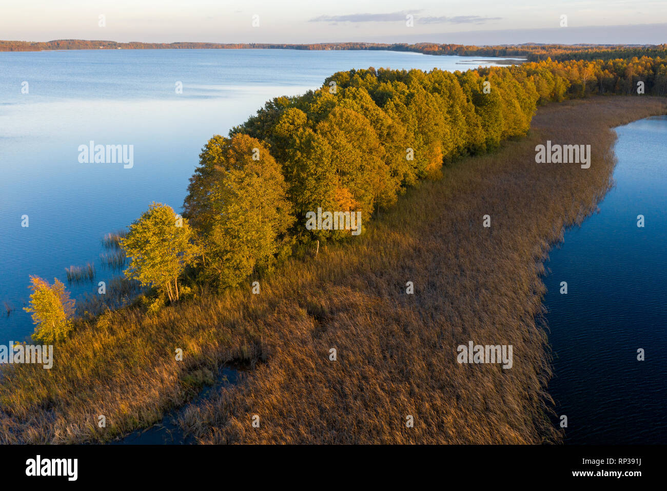 Saadjärv Vooremaa Lac, paysage, l'Estonie. Banque D'Images
