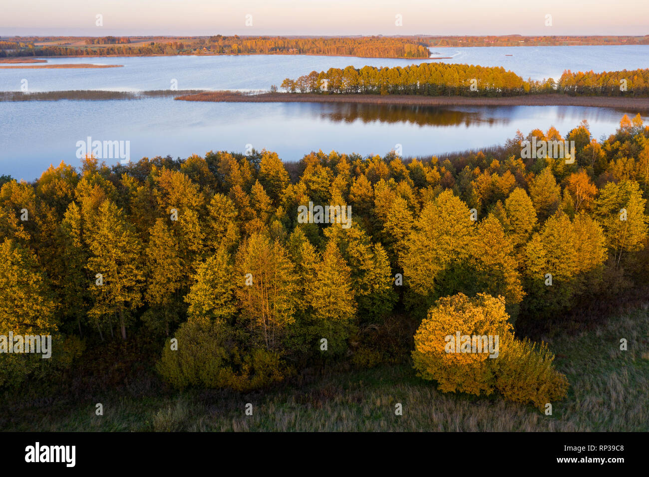 Saadjärv Vooremaa Lac, paysage, l'Estonie. Banque D'Images