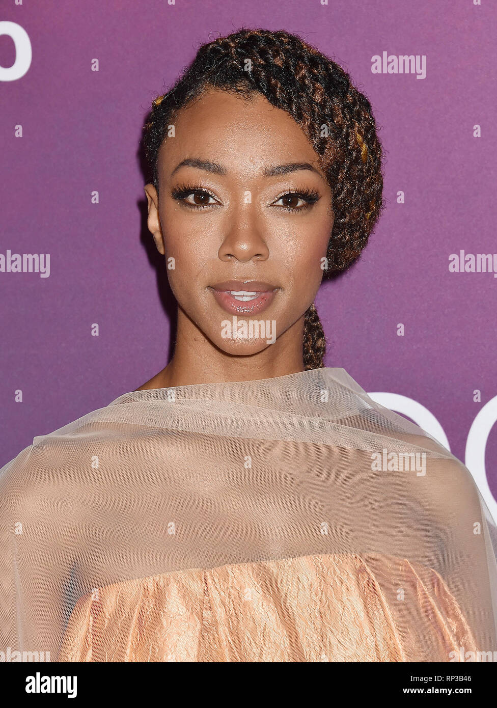 Los Angeles, CA - 19 février : Sonequa Martin- Green arrive à la 21e CDGA (Costume Designers Guild Awards) à l'hôtel Beverly Hilton sur Februa Banque D'Images