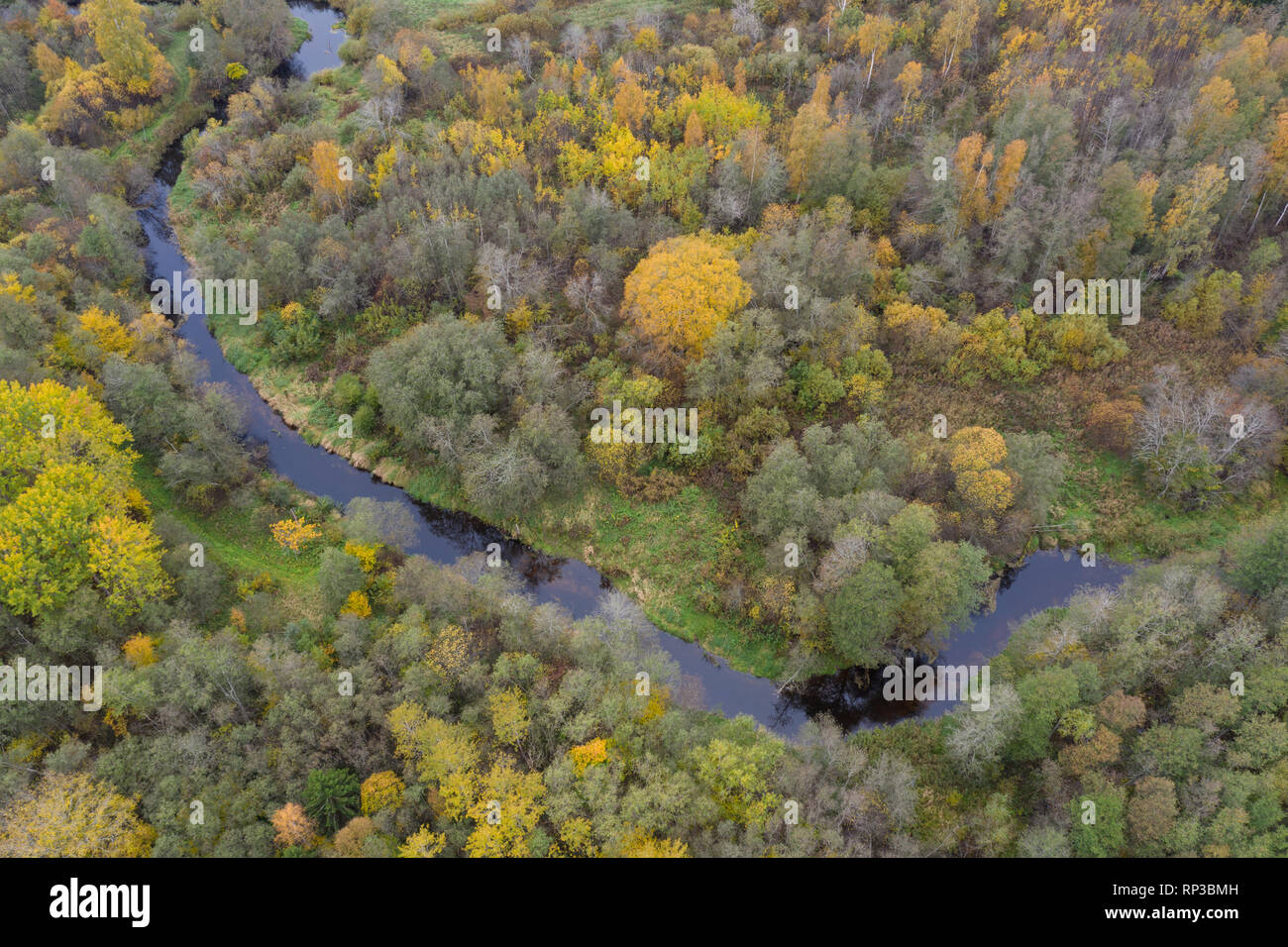 Vue aérienne de Peace River à l'automne, l'Europe, l'Estonie Banque D'Images