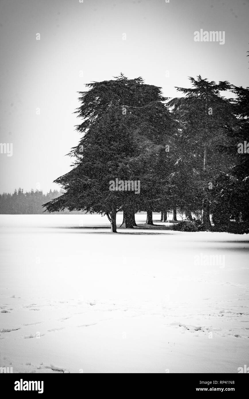 Le Palais de Blenheim. Le Jardin Secret dans la neige - Blenheim Palace à Woodstock, Oxfordshire, Angleterre Banque D'Images