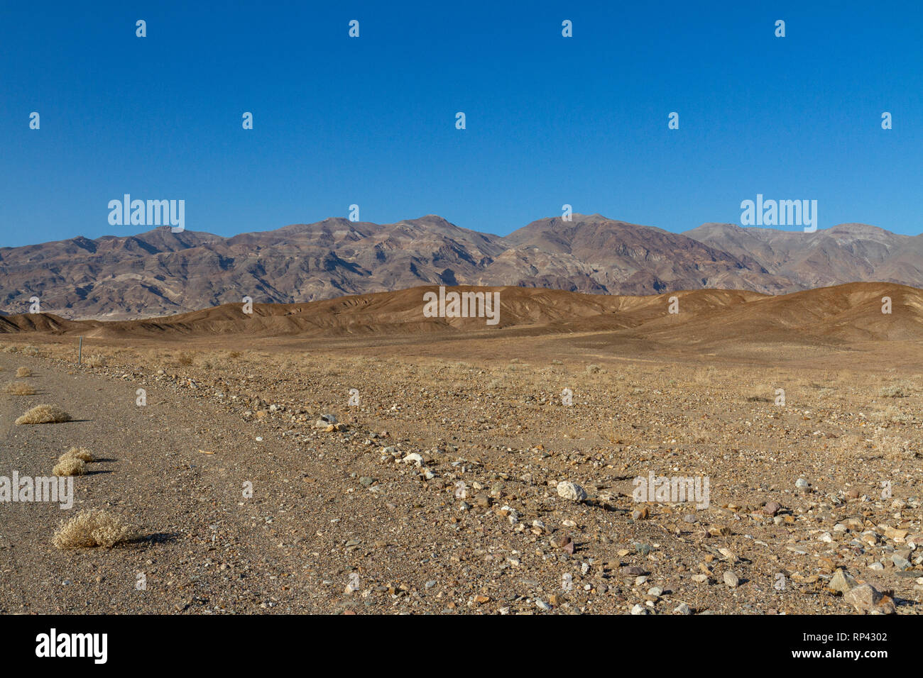 Vue nord de Beatty Road, Death Valley National Park, California, United States. Banque D'Images