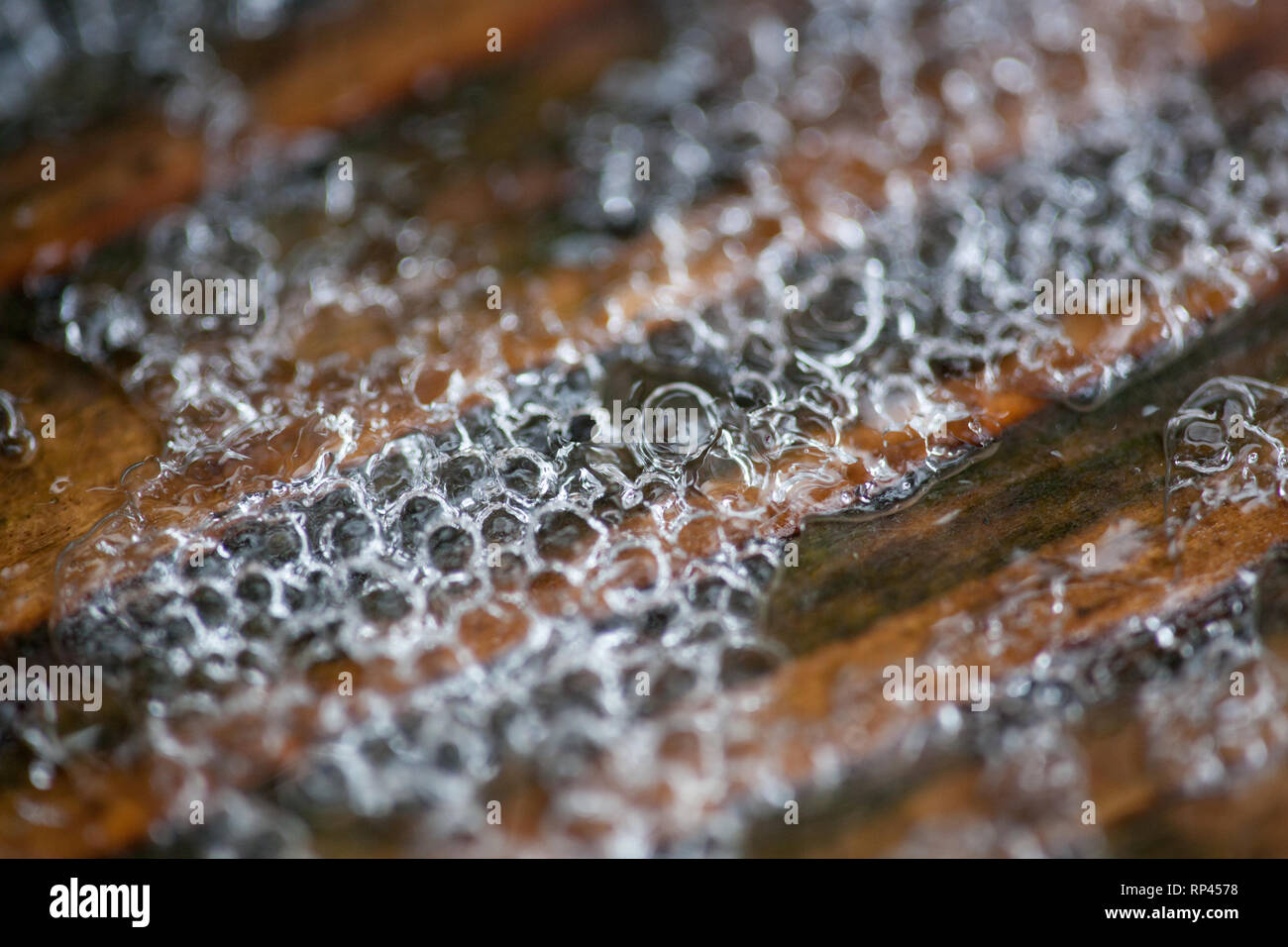 Bulles de glace sur fond texturé Grain de bois Banque D'Images