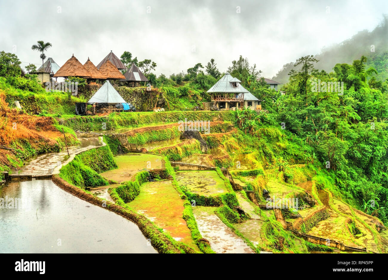 Village sur l'île de Luzon Banaue, Philippines Banque D'Images
