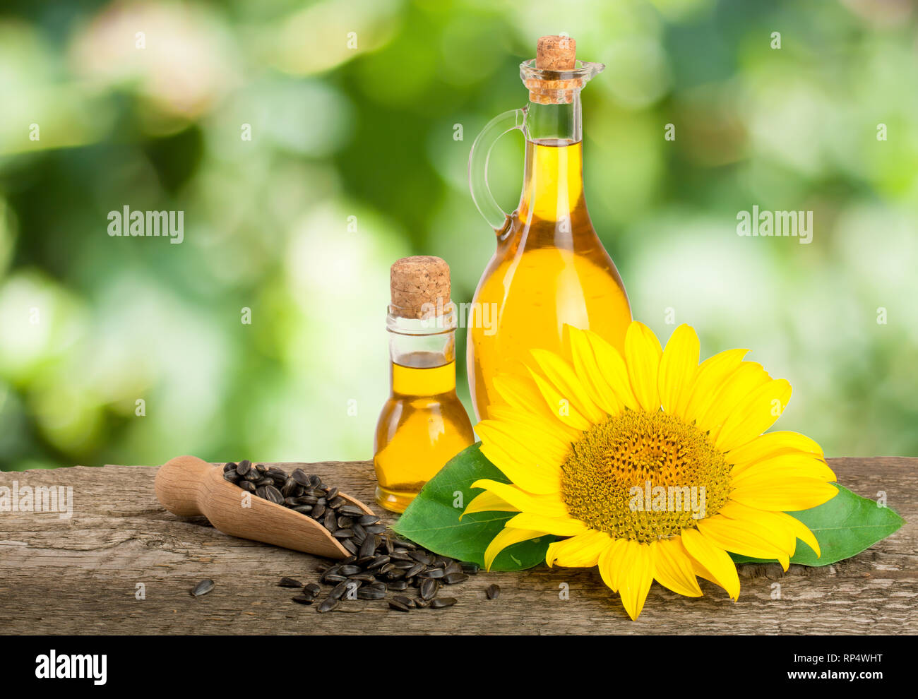 L'huile de tournesol et fleurs isolé sur fond blanc, Banque D'Images