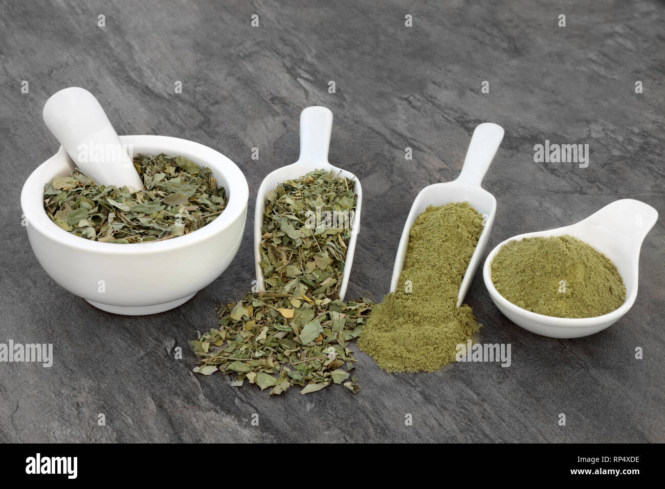 Oliefera Moringa herb leaf et en poudre utilisé pour traiter l'anémie, le  rhumatisme, le cancer, la diarrhée, le diabète, la constipation et la perte  de poids Photo Stock - Alamy
