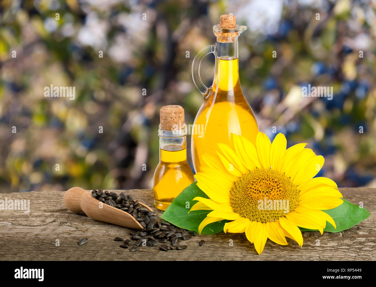 L'huile de tournesol et fleurs isolé sur fond blanc, Banque D'Images