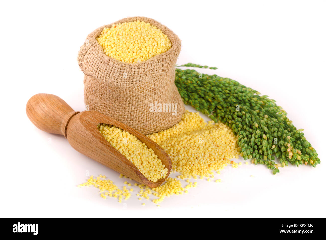Dans un sac de mil et écope d'épillets vert isolé sur fond blanc. Banque D'Images