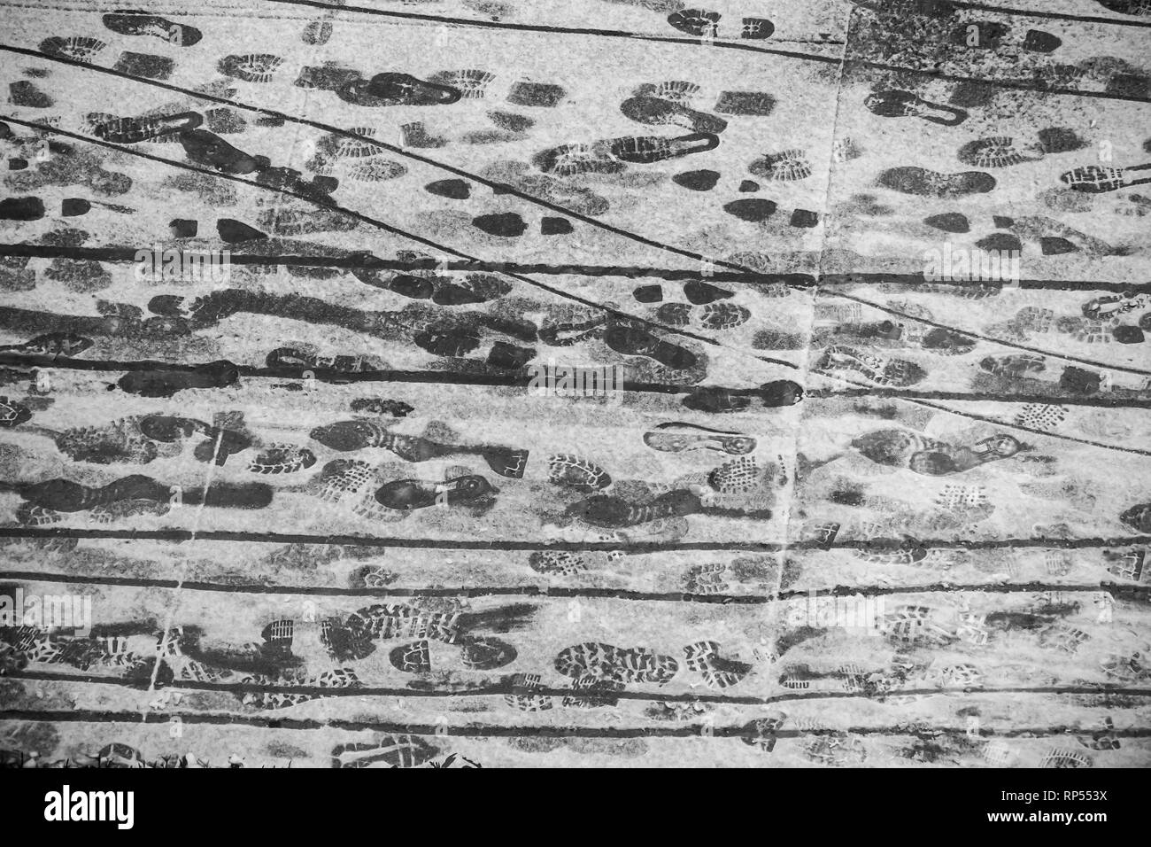 Traces dans la neige dans le quartier de Chelsea, New York le mercredi 20 février, 2019. Un comité consultatif de l'hiver est en effet que la neige passe à un mélange de grésil et de pluie et enfin tous les 1 h par la pluie jeudi du dépôt de 2-4 pouces. (© Richard B. Levine) Banque D'Images