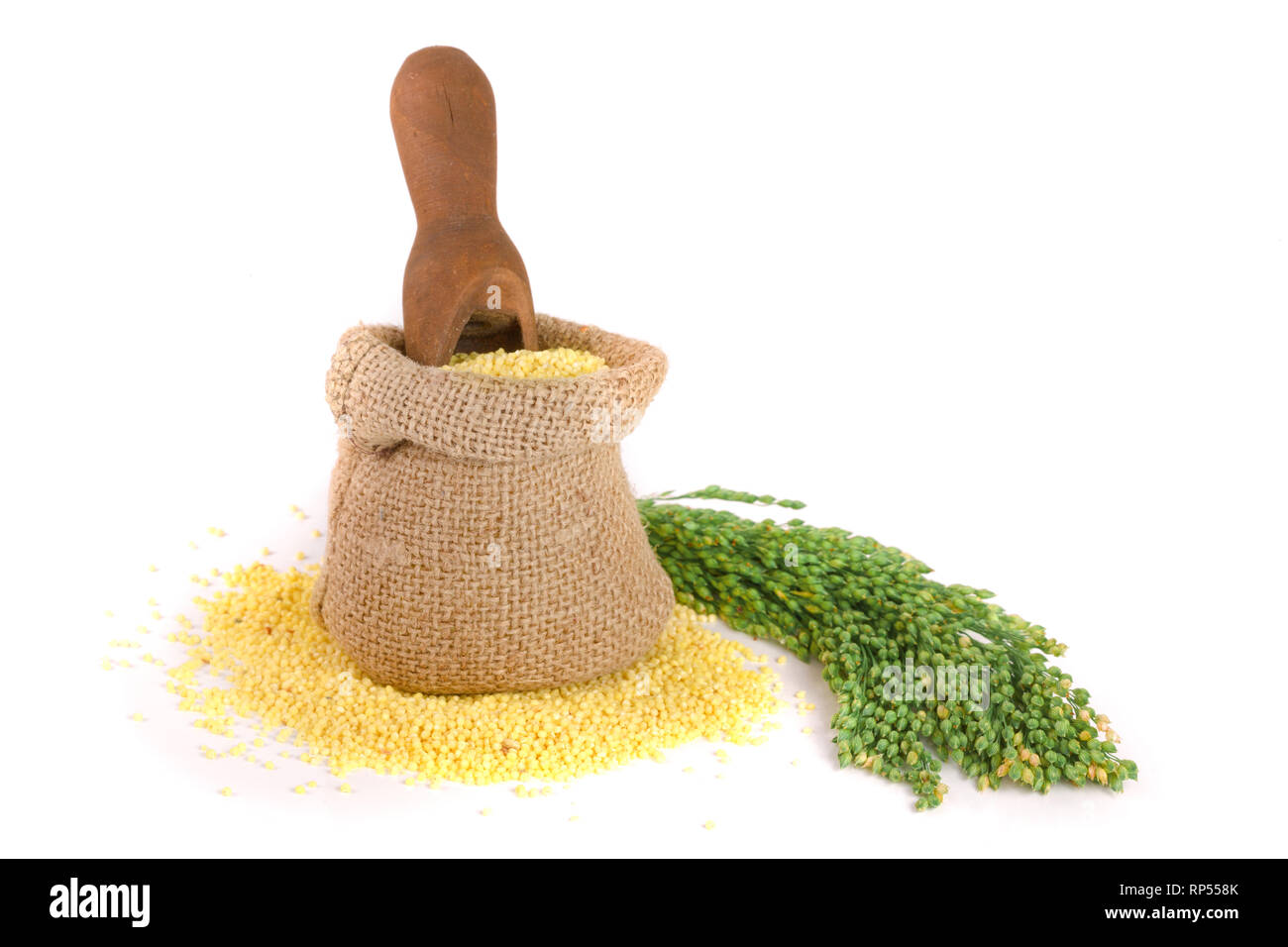 Dans un sac de mil et écope d'épillets vert isolé sur fond blanc. Banque D'Images