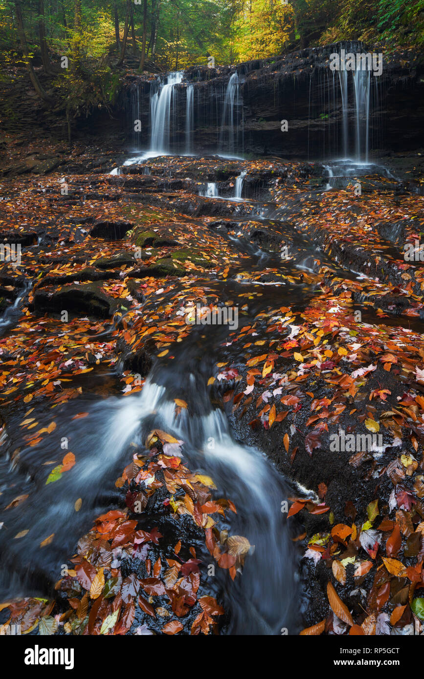 Chutes Mohawk en automne à Ricketts Glen State Park, New York Banque D'Images