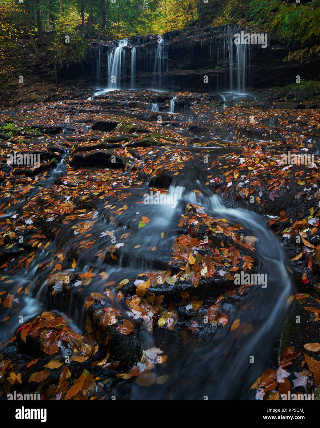 Chutes Mohawk en automne à Ricketts Glen State Park, New York Banque D'Images