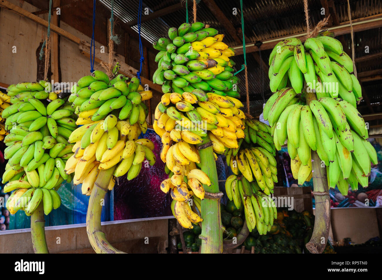 La banane jaune et vert dans un magasin de légumes. Commerce de rue au Sri Lanka. Banque D'Images