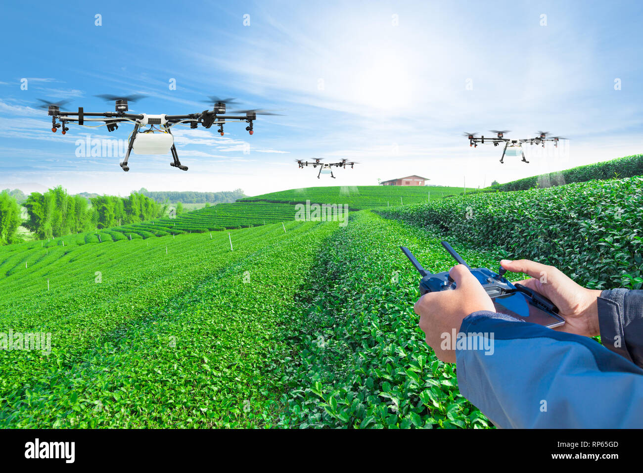 L'agriculture de l'avion pour drone pulvérisé engrais sur les champs de thé  vert, Smart farm 4.0 concept Photo Stock - Alamy
