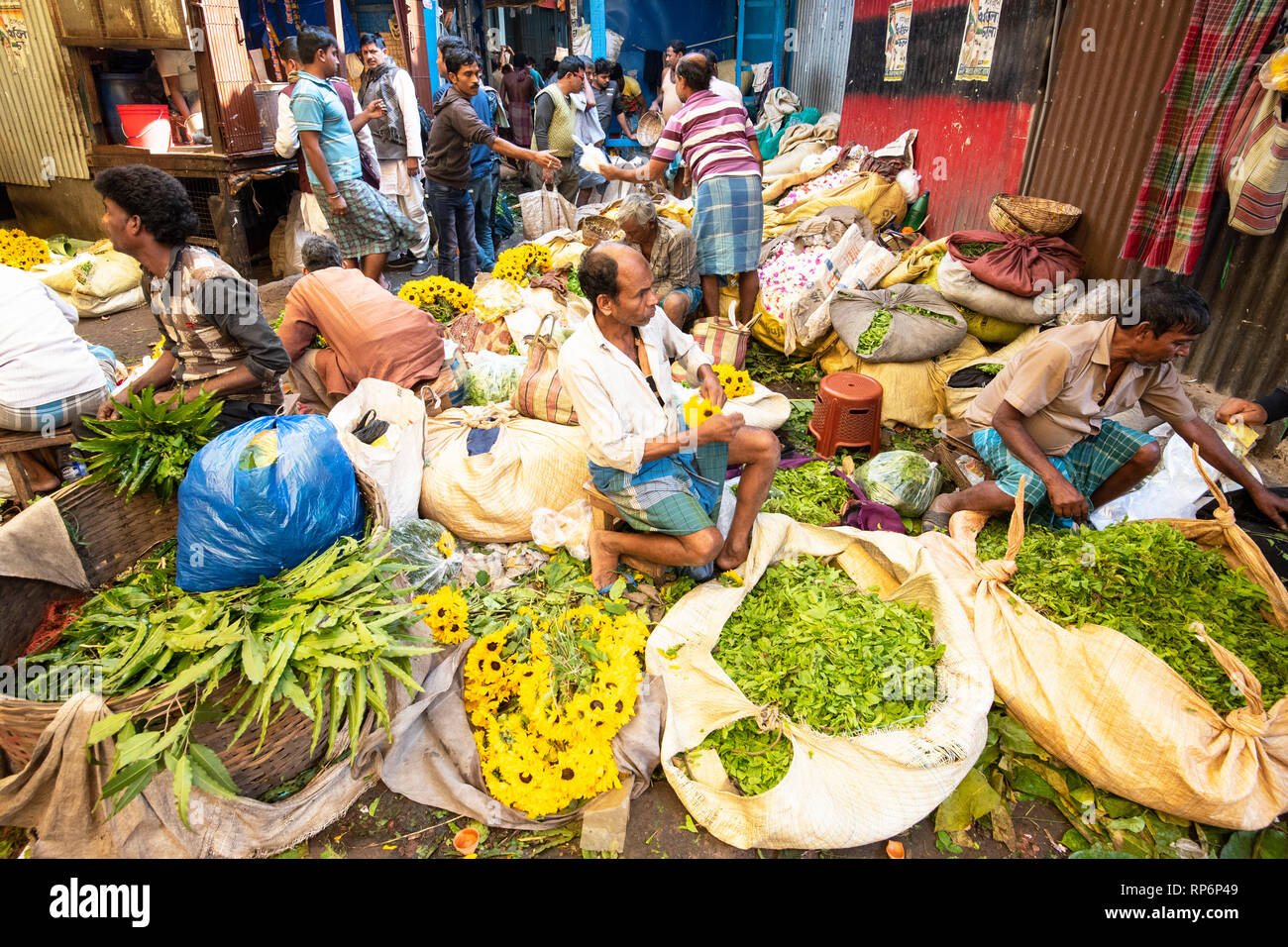 Des foules de gens locaux vendeurs et acheteurs montrant l'agitation de la Mullick Ghat Marché aux Fleurs. Banque D'Images