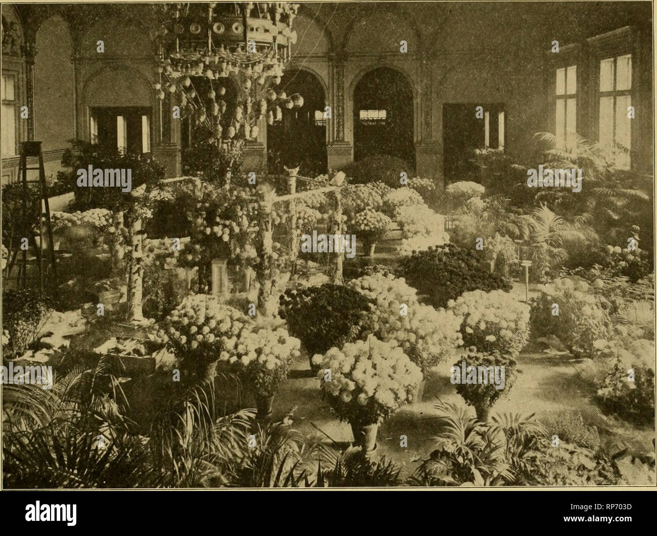 . La fleuriste américain : un journal hebdomadaire pour le commerce. La floriculture ; fleuristes. igo3. L'American Fleuriste. 567. HALL PRINCIPAL AU PHILADELPHIA SHOW. New York Horticultural Society. Le chrysanthème show et exposition d'automne de l'Arizona Horticul- ture Société a ouvert mardi dernier, même avec une bonne première nuit, présence qui a ?promesse d'une exécution réussie pour la semaine. L'exposition dans son ensemble est très bon, il y aurait moins d'expositions pauvres que jamais. En particulier est-ce le cas avec le pot chrysanthe- mums, qui sont un très grand nombre, et même les juges ont donné bien Banque D'Images