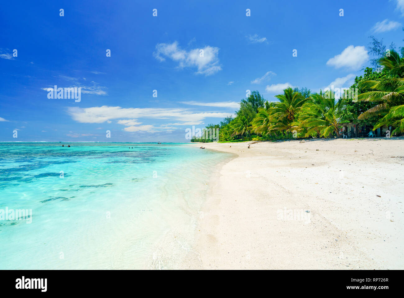 Une plage idyllique avec des palmiers à Rarotonga aux îles Cook Banque D'Images