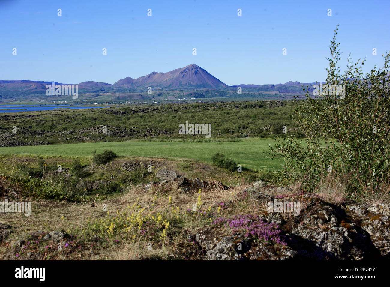 Kalfastrond sculpture de lave autour du lac Myvatn en Islande Banque D'Images
