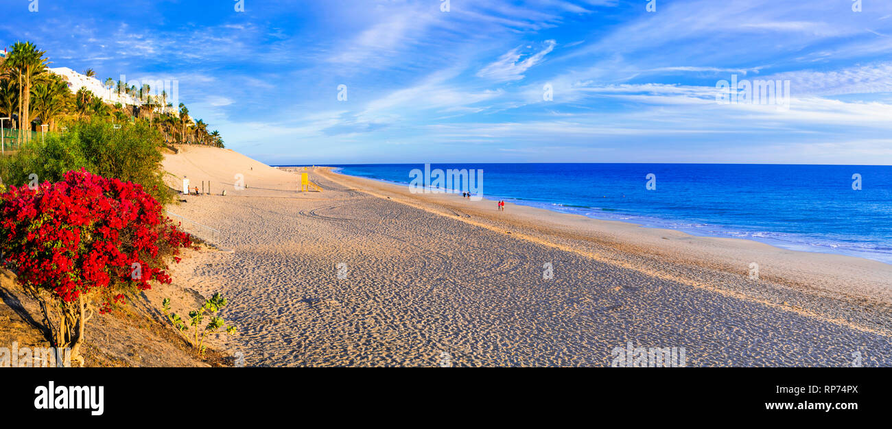 Belle plage de l'île de Fuerteventura, Fuerteventura, Espagne. Banque D'Images