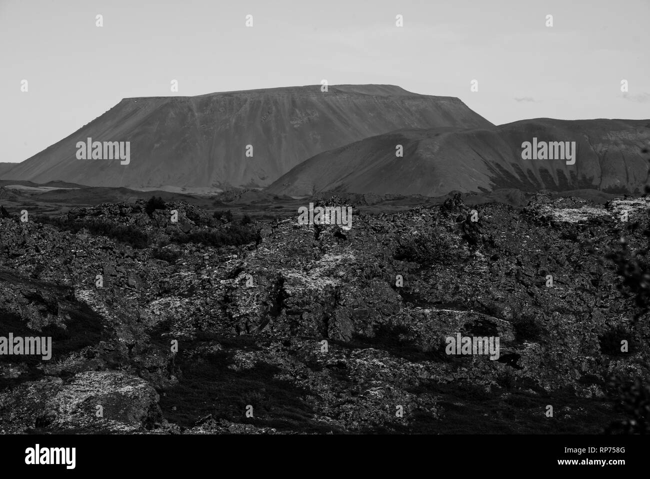 Kalfastrond sculpture de lave autour du lac Myvatn en Islande Banque D'Images